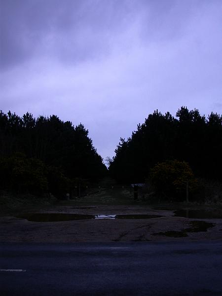Rendlesham Forest - DSCN3597.JPG